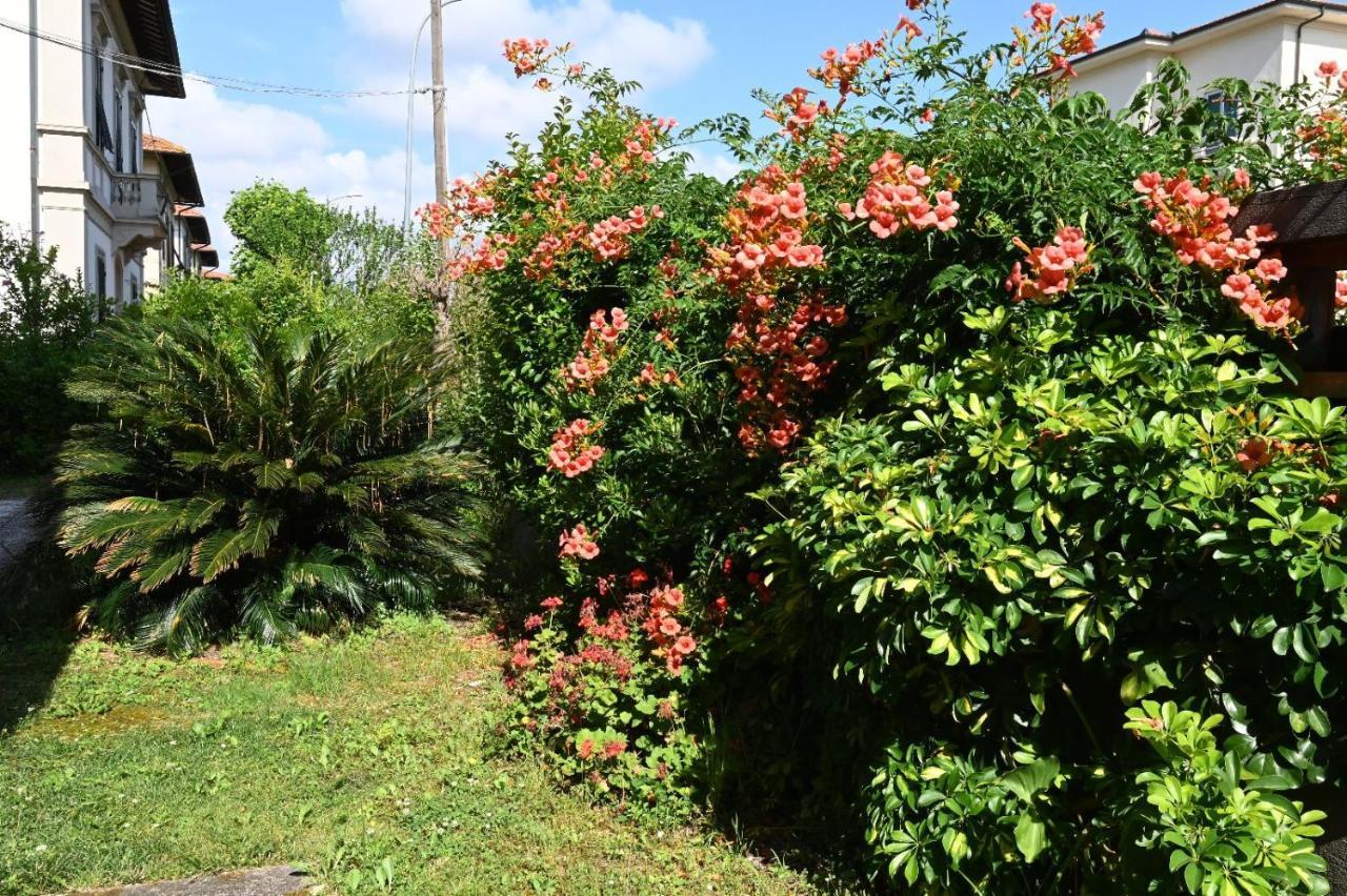 Villa Mehari Pisa Kültér fotó