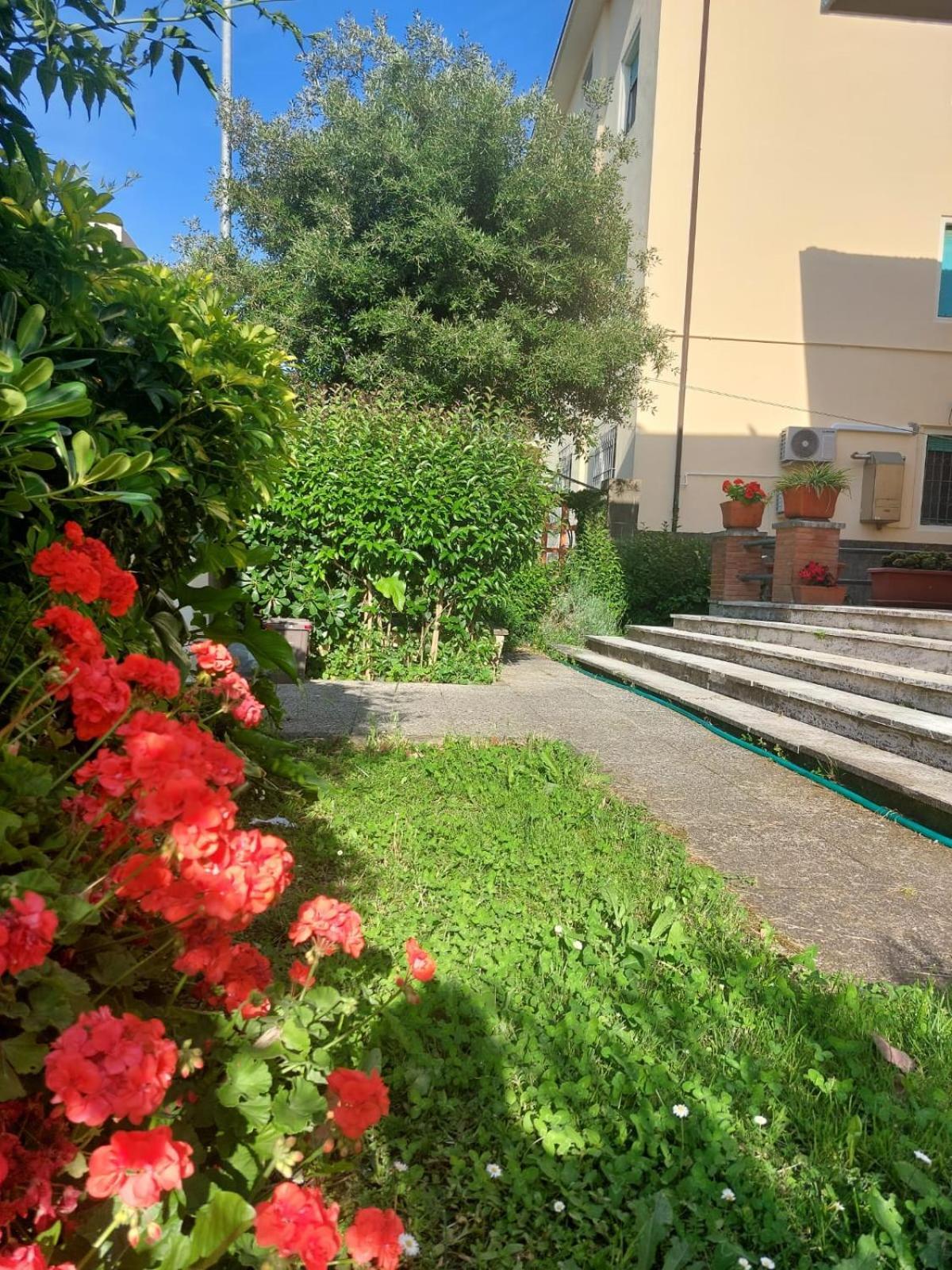 Villa Mehari Pisa Kültér fotó