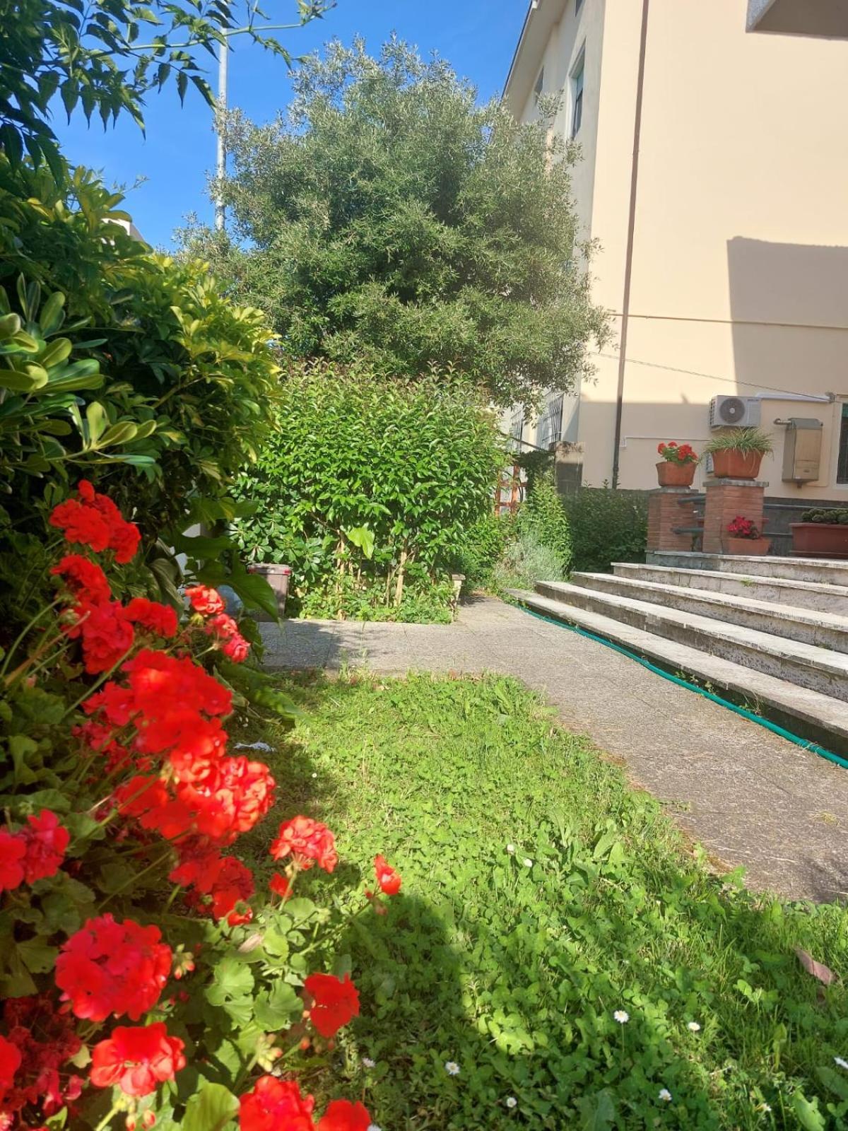 Villa Mehari Pisa Kültér fotó